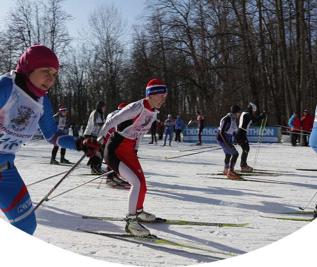 УСЦ Чайка (Управленческий)