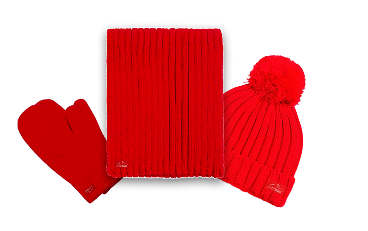 Набор из шапки, варежек и шарфа