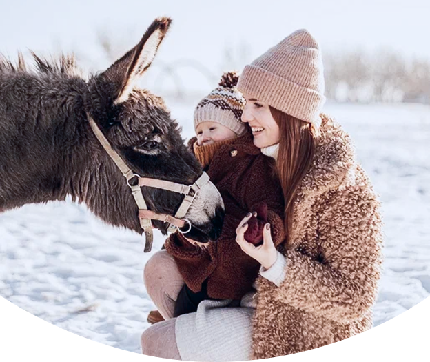 Экоферма В моих лугах