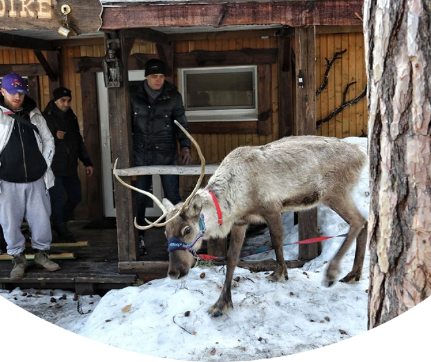 Серебро Севера